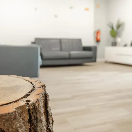 فيلة Viriato's House