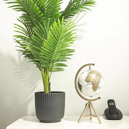 فيلة Viriato's House