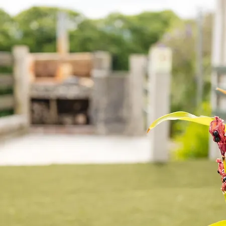 فيلة Viriato's House