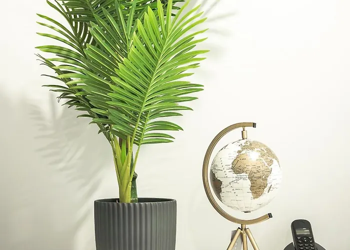 Villa Viriato's House