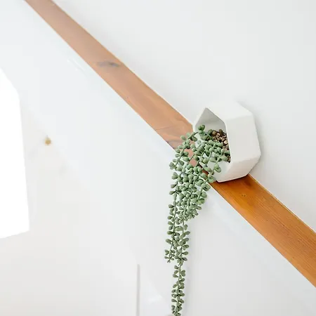 Villa Viriato's House *