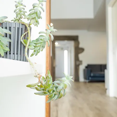 Viriato's House Villa *