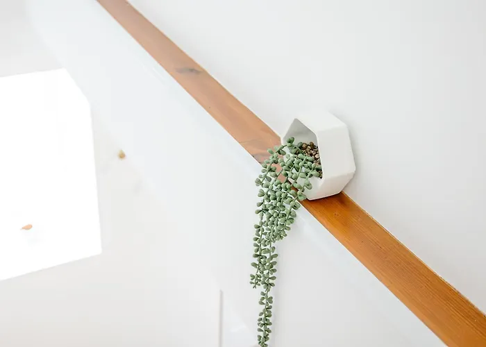 Willa Viriato's House *