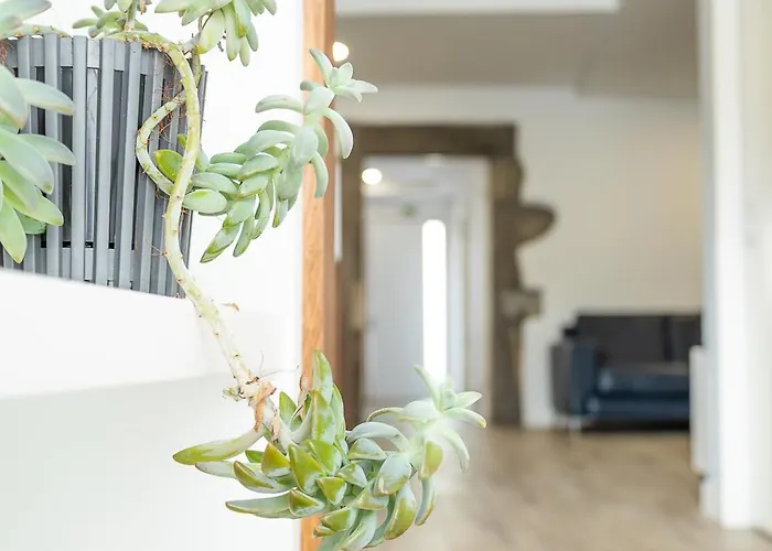 Viriato's House Willa *